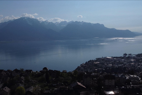Montreux: assaggia il formaggio come un locale con vista sul lago e sulle montagneMontreux: assaggia il formaggio come un vero locale con vista sul lago e sulle montagne