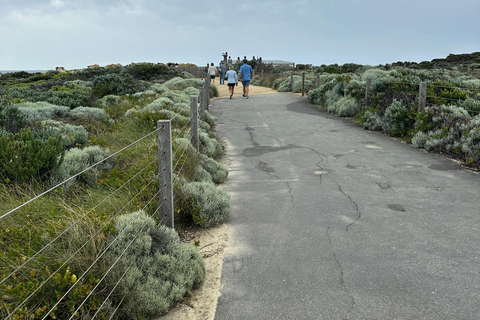 Great Ocean Road reverse Sunrise Tour