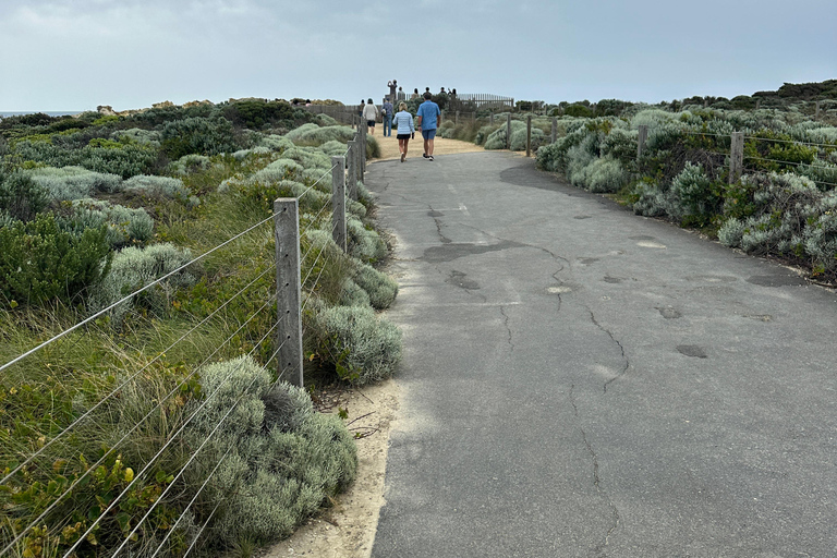 Great Ocean Road reverse Sunrise Tour