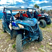 Buggy Family Experience 60 to 120 Minutes