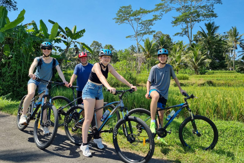 Ubud: Discesa in bicicletta con vulcano, terrazze di riso e pasto