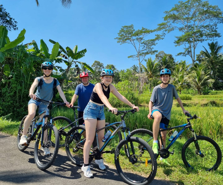 Ubud: Downhill Cycling with Volcano, Rice Terraces and Meal