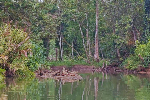 Private Kayaking Adventure: a 2-hour Wildlife Escape Self-Guided Kayaking Adventure: a 2-hour Wildlife Escape