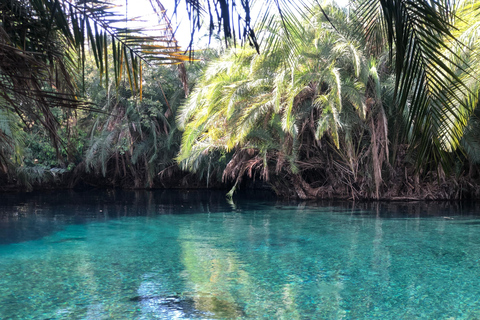 Moshi: Chemka Hot Springs and Waterfall with lunch