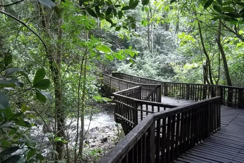 Golfo di Papagayo: Tour del vulcano e della giungla di Guanacaste