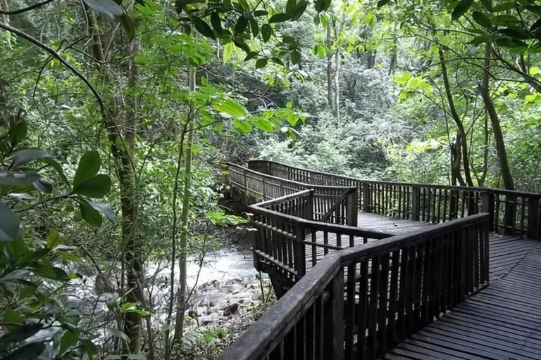 Golfo de Papagayo: Excursión al Volcán y la Selva de Guanacaste