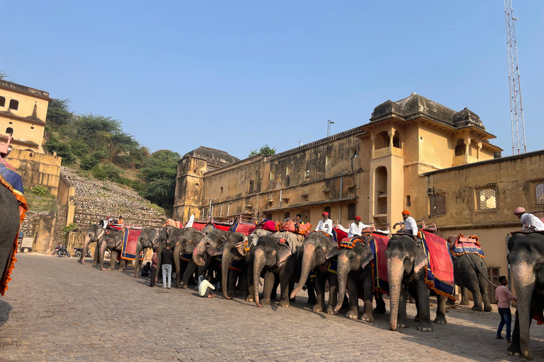斋浦尔带司机和导游的私人城市之旅