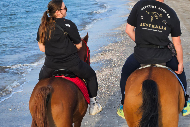 Passeios a cavalo em Omã