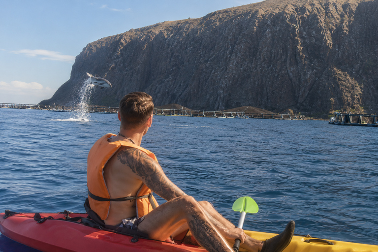Tenerife: Turtle Bay - Kayak Rental with Drink and Equipment