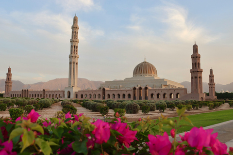 Muscat: Stadsrondleiding voor een halve dag