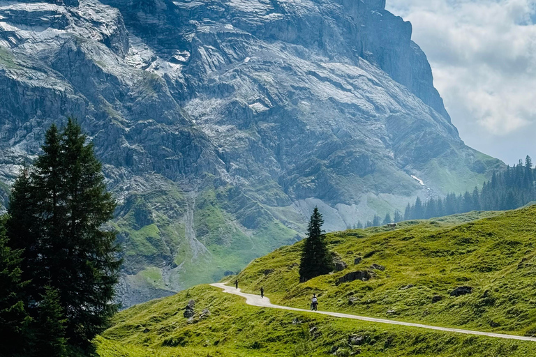 جولة بدراجة كهربائية في وادي روزنلاوي من إنترلاكن