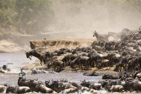 3 jours et 2 nuits de safari en groupe à Maasai Mara en Safari Van