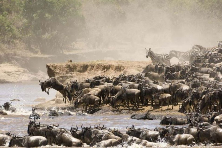 3 jours et 2 nuits de safari en groupe à Maasai Mara en Safari Van