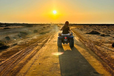 From Djerba: 2.5-Hour Quad Biking Tour Between Sea and Nature From Djerba: 2.5-hour quad biking tour between sea and nature