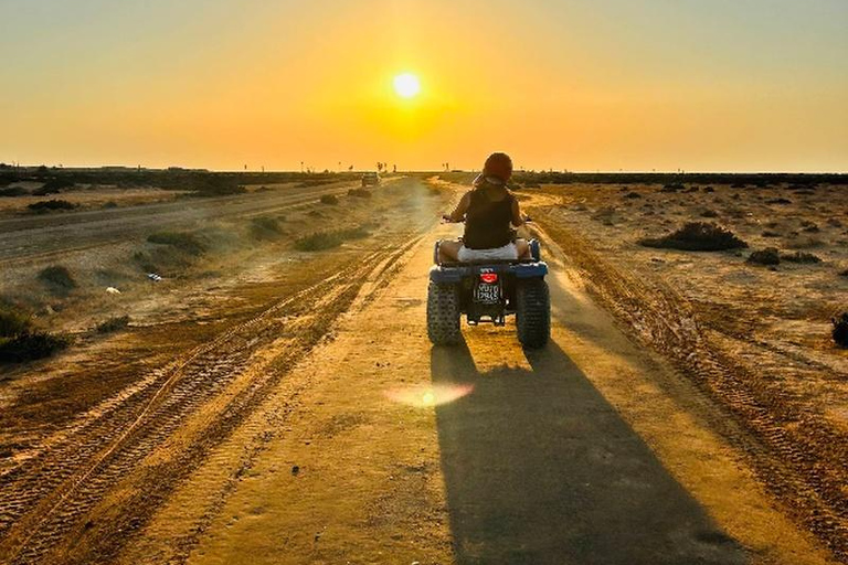 From Djerba: 2.5-Hour Quad Biking Tour Between Sea and Nature From Djerba: 2.5-hour quad biking tour between sea and nature