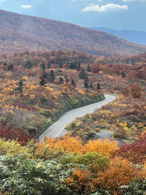 Driving Support in Akita - Hizvo