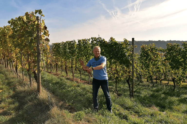 Koblencja: żywa winnica, przyroda i przyjemność z wina