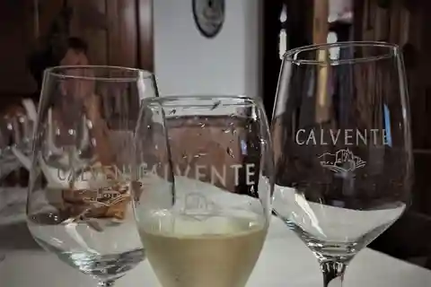 Malaga e Granada: Degustazione di vini e tapas con ritiro al resort