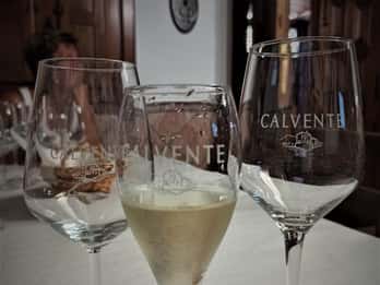 Malaga e Granada: Degustazione di vini e tapas con ritiro al resort