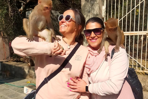 Excursión a Abhaneri y Templo de los Monos desde Jaipur