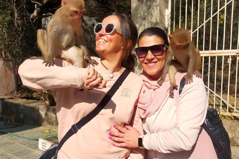 Excursión a Abhaneri y Templo de los Monos desde Jaipur