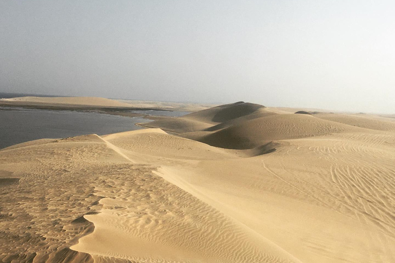 Zrelaksuj się na pustynnym safari, walnij w wydmy (prywatne safari)