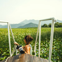 Wildlife, Wine, and Sunset Magic at Lake Skadar - Housity