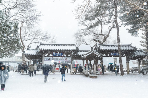 From Seoul: Nami Island, Korean Garden & Rail Bike Day Trip Group Tour with Railbike from Hongdae (Hongik University)