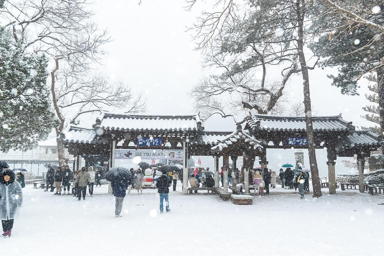 From Seoul: Nami Island, Korean Garden & Rail Bike Day Trip Group Tour w/o Railbike from Dongdaemun (DDP)