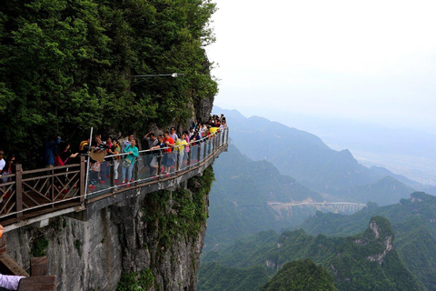 One-day Tour :Night View of Tianmen+ Avatar-like Peak Forest