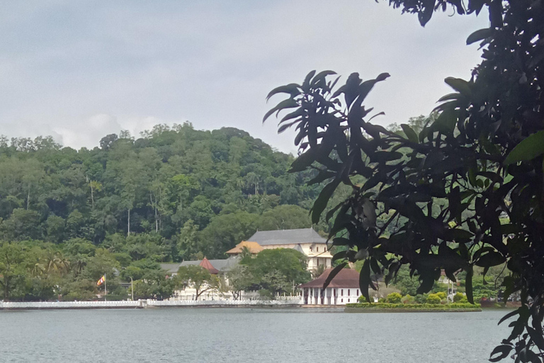 The Best Kandy Tuk-Tuk city Tour with a Professional Guide