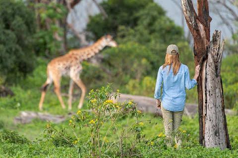 Lake Naivasha and Crescent Island Game Sanctuary Day Trip