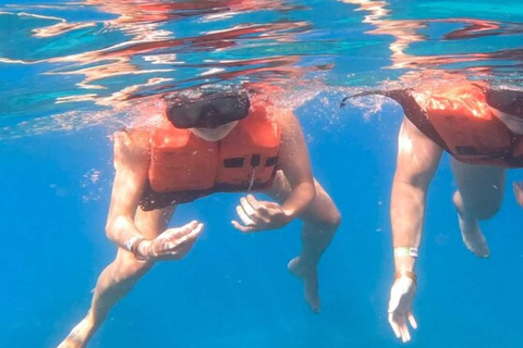 Privado: mergulho na Ilha Catalina com almoçoPrivado: Mergulho na Ilha Catalina com almoço