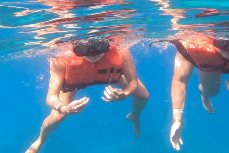 Privado: mergulho na Ilha Catalina com almoçoPrivado: Mergulho na Ilha Catalina com almoço