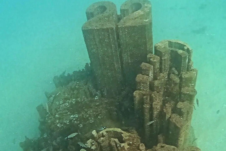 Albufeira: inmersión doble en el océano para buceadores certificadosAlbufeira: Buceo doble en el océano para buceadores certificados