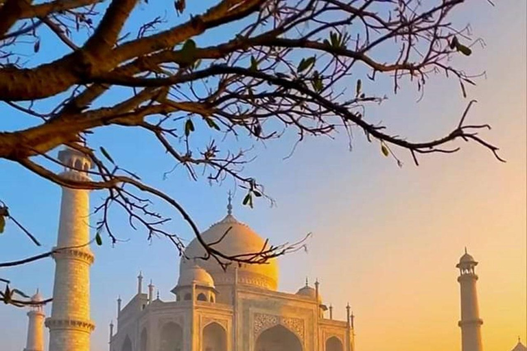 Desde Delhi: Taj Mahal y Agra Tour Privado de un Día con TrasladosCoche con aire acondicionado, conductor y guía