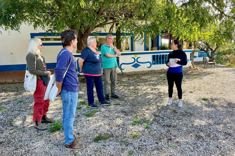 Albufeira, Olhão, Faro: visit to a vineyard, free time in Silves