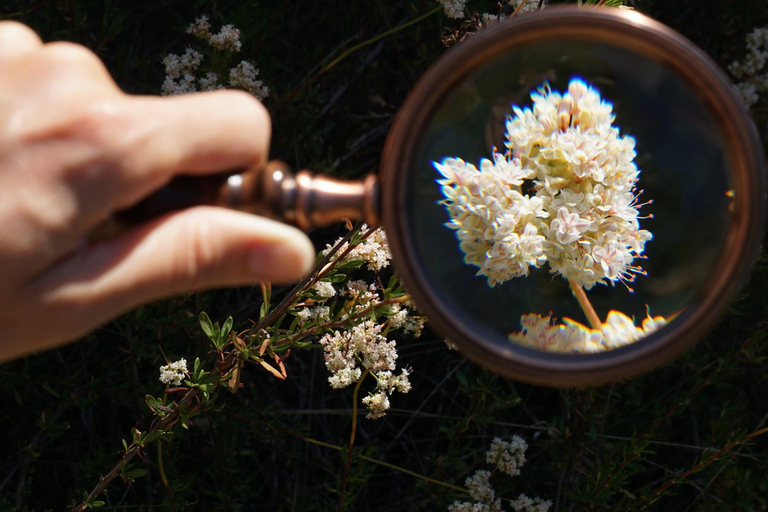 San Diego: Guided Natural History WalkSan Diego: Guided Natural History Walk - Private Tour