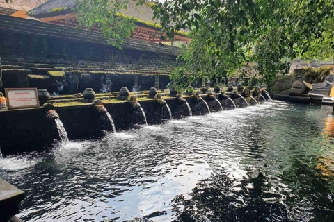Ubud: Wasserfälle, Wassertempel und Reisterrassen Private TourPrivate Tour ohne Eintrittsgelder