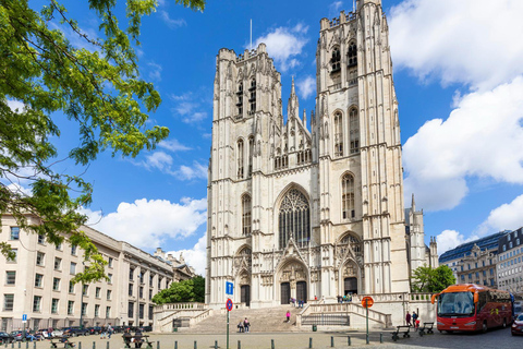 Brussels Cathedral Guided Tour french guide