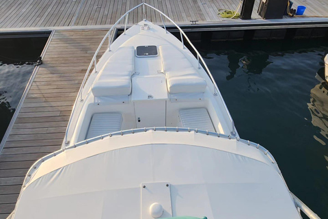 Doha: All Inclusive Guided Fishing Trip Doha: All Inclusive Guided Fishing Trip (1 to 7 people)