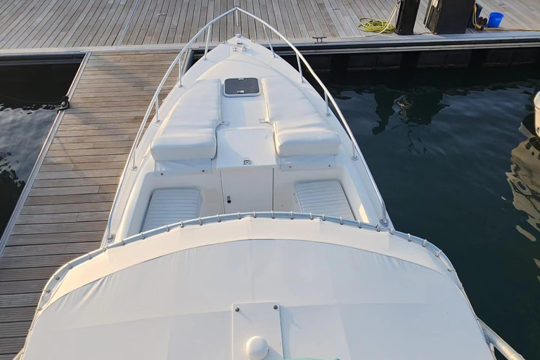 Doha: All Inclusive Guided Fishing Trip Doha: All Inclusive Guided Fishing Trip (1 to 7 people)