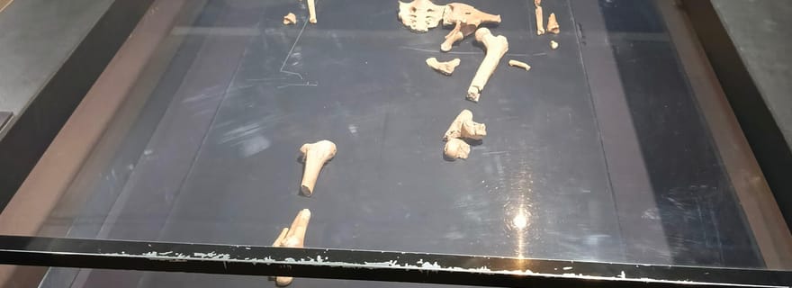 Le meilleur d'Addis-Abeba Visite guidée privée de la ville