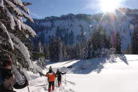 Caminhada com raquetes de neve em Allgäu