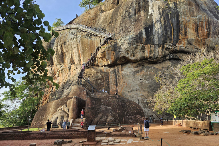 From Colombo: Sigiriya Rock and Dambulla Day Trip and Safari