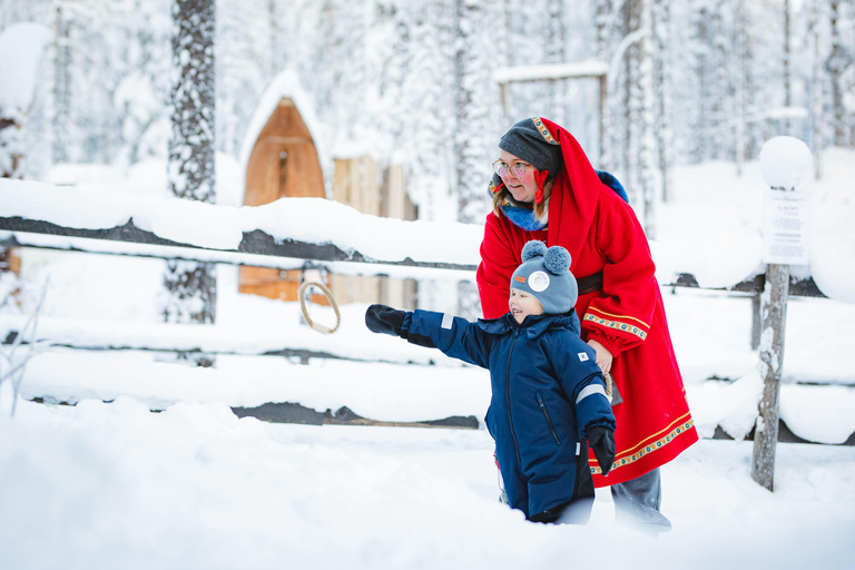 Levi：Arcandia，精灵法庭/日光和公园/黑暗精灵法庭：3 小时体验和公园之旅