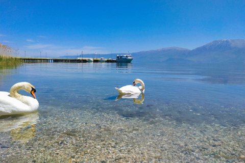 Visite quotidienne Parc Drilon - Lin - Pogradec