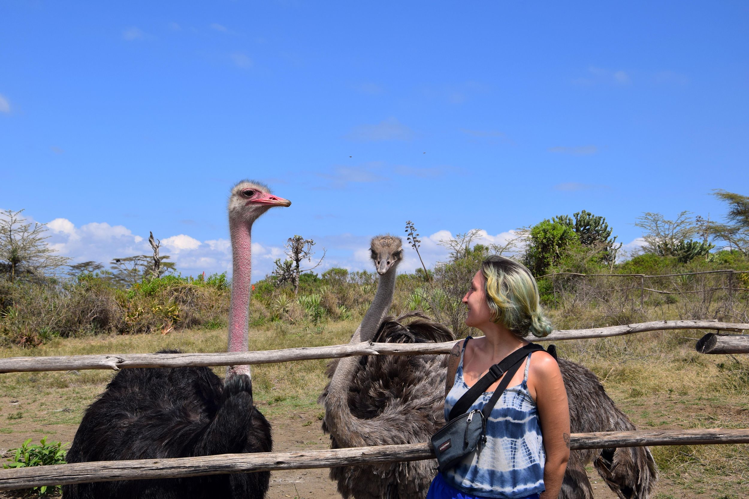 Crescent Island Safari-Wanderung, Naivasha & Hell's Gate Radtour