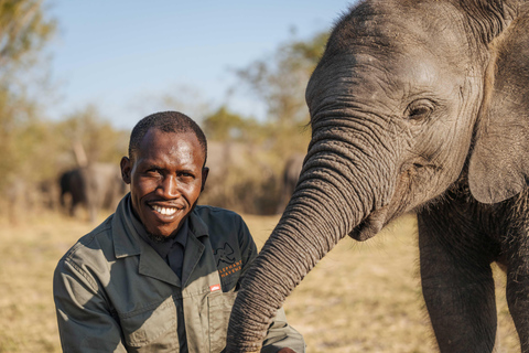 Maun: Elephant Havens Helicopter Experience