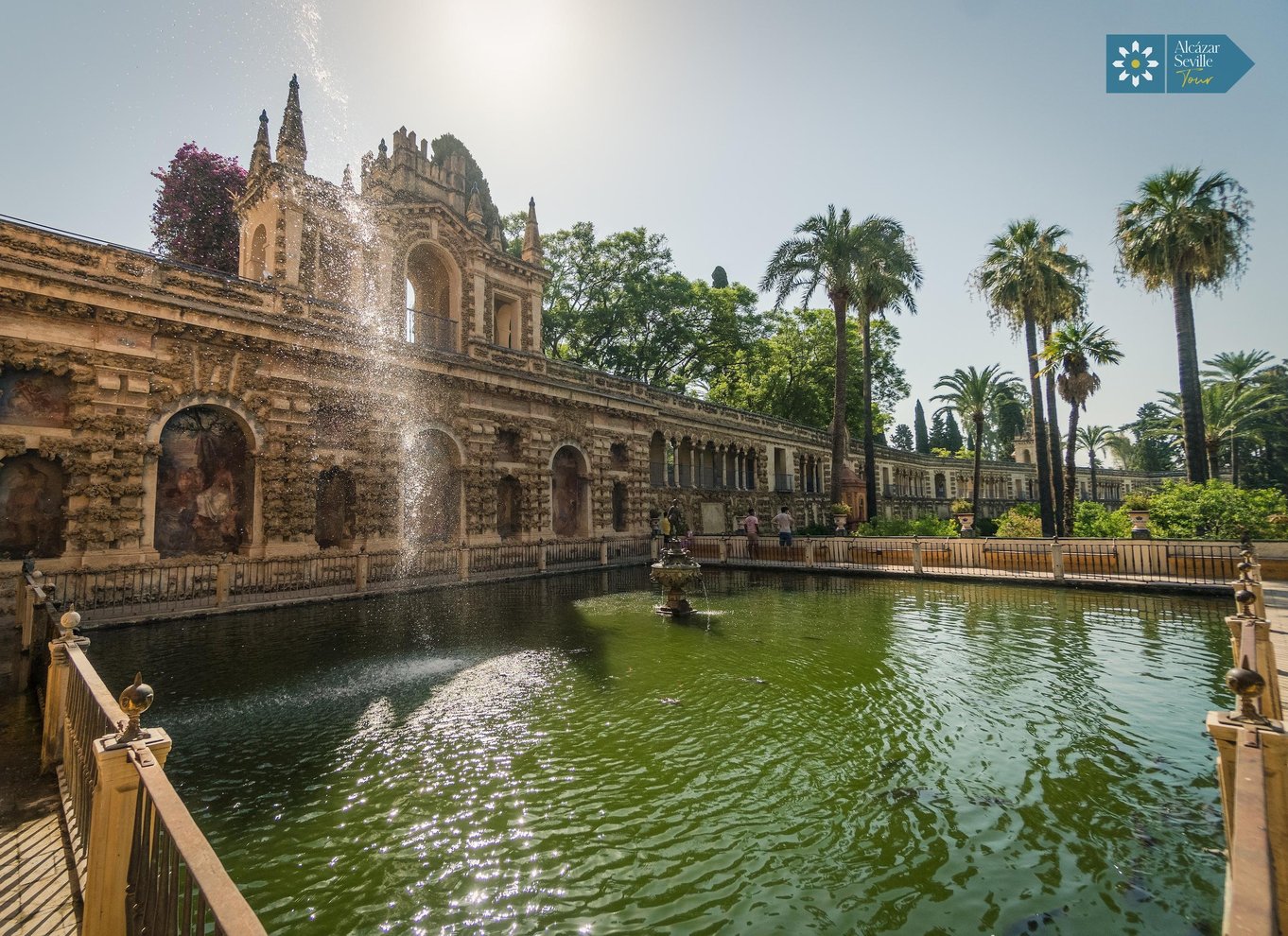 Sevilla: Katedralen, Giralda og Royal Alcázar guidet tur
